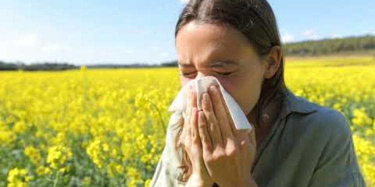 Antihistamines how they work with hay fever