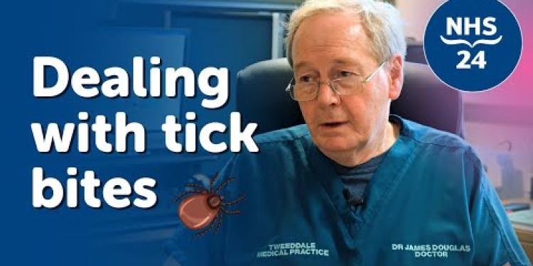 Tick Bites: Should you be worried?