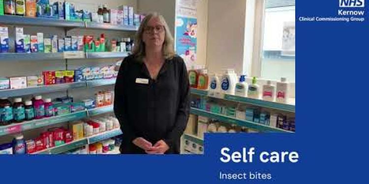 Self care - insect bites
