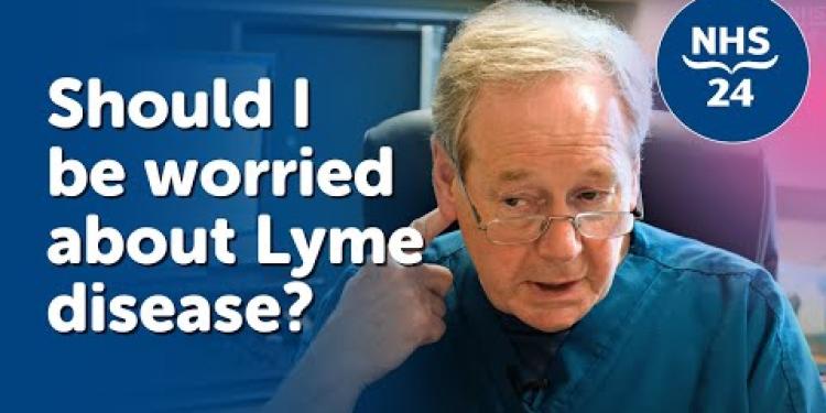Lyme disease: What is it?