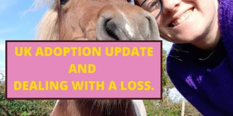 Adoption Update & Sad Loss For Our Family | Mum of 3 | UK Adoption Journey