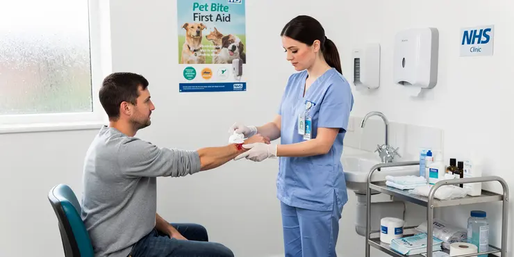 How to treat a cat bite