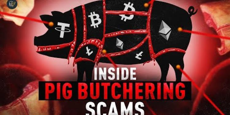 The Most Dangerous Crypto Scam: Victims Speak Out